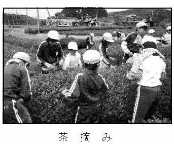 ���@�E�@��