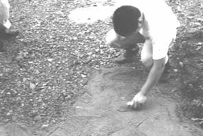 �ʐ^�R�@������