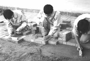 �ʐ^�S�@�u���b�N�~��