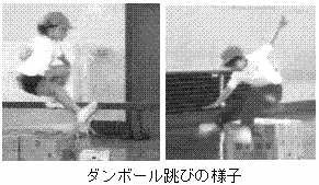 �_���{�[�����т̗l�q